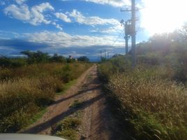  Land for sale in Junin, San Luis, Junin