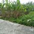  Land for sale in Depok, Sleman, Depok