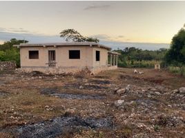 2 Habitación Casa en venta en Calotmul, Yucatán, Calotmul