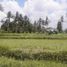  Tanah for sale in Tampak Siring, Gianyar, Tampak Siring