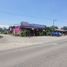  Land for rent in Compostela, Nayarit, Compostela