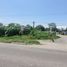  Land for rent in Compostela, Nayarit, Compostela