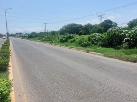  Land for rent in Compostela, Nayarit, Compostela