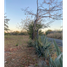  Land for sale in Vista Mar Golf, Beach & Marina, San Carlos, San Carlos