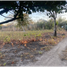  Land for sale in Vista Mar Golf, Beach & Marina, San Carlos, San Carlos