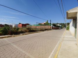 토지을(를) San Jeronimo Tecuanipan, 푸에블라에서 판매합니다., San Jeronimo Tecuanipan
