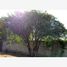 4 Habitación Casa en venta en Ezequiel Montes, Querétaro, Ezequiel Montes