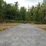  Land for sale in Bantul, Yogyakarta, Sedayu, Bantul