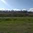  Land for sale in Angol, Malleco, Angol