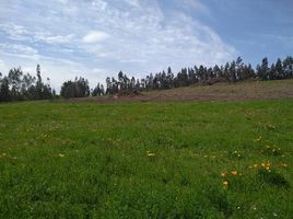  Land for sale in Angol, Malleco, Angol