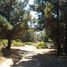  Land for sale in Chile, Villa Alemana, Valparaiso, Valparaiso, Chile