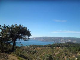  Land for sale in Chile, Villa Alemana, Valparaiso, Valparaiso, Chile