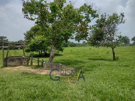  Terreno (Parcela) en venta en Tuxpan, Veracruz, Tuxpan, Veracruz