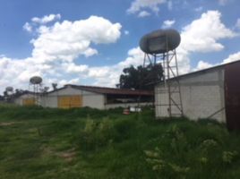  Land for sale in Zumpango, Mexico, Zumpango