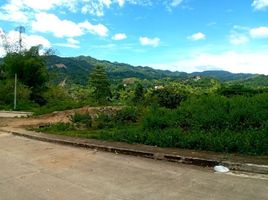 Terrain à vendre à Cebu City, Central Visayas, Cebu City, Cebu, Central Visayas