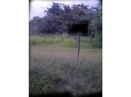  Land for sale in Veraguas, Rio Grande, Sona, Veraguas