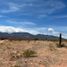  Terreno (Parcela) en venta en Cafayate, Salta, Cafayate