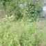  Land for sale in Cavite, Calabarzon, Tagaytay City, Cavite