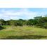  Land for sale in Santiago, Veraguas, Santiago, Santiago