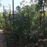  Land for sale in Pajangan, Yogyakarta, Pajangan, Bantul, Yogyakarta