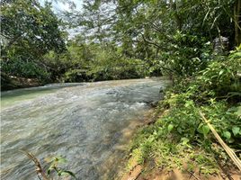  Terreno (Parcela) en venta en Jamundi, Valle Del Cauca, Jamundi