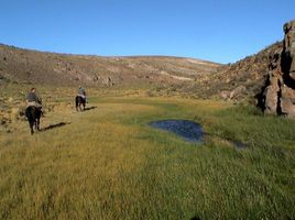  Grundstück zu verkaufen in Caleu Caleu, La Pampa, Caleu Caleu