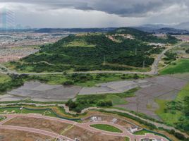  Terreno (Parcela) en venta en Daule, Guayas, Daule, Daule