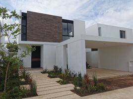 3 Schlafzimmer Wohnung zu verkaufen in Conkal, Yucatan, Conkal