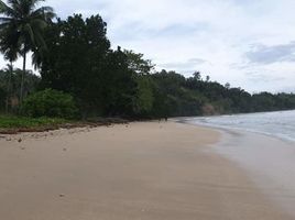  Grundstück zu verkaufen in San Vicente, Mimaropa, San Vicente