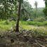  Grundstück zu verkaufen in San Vicente, Mimaropa, San Vicente