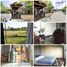Maison 3 chambre à vendre à Kerobokan, Bali, Kerobokan