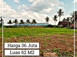  Land for sale in Gambiran, Banyuwangi, Gambiran