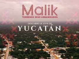  Land for sale in Motul, Yucatan, Motul