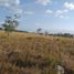  Land for sale in Penonome, Cocle, Penonome, Penonome