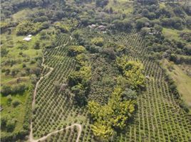  Grundstück zu verkaufen in Tamesis, Antioquia, Tamesis