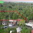  Land for sale in Penebel, Tabanan, Penebel