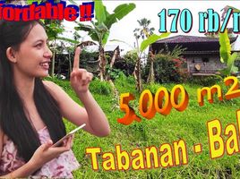  Land for sale in Penebel, Tabanan, Penebel