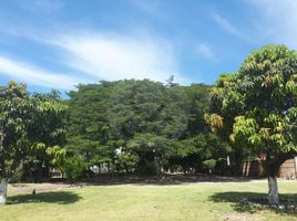  Grundstück zu verkaufen in Miacatlan, Morelos, Miacatlan
