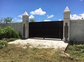  Land for sale in Ixil, Yucatan, Ixil, Yucatan