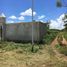  Land for sale in Ixil, Yucatan, Ixil, Yucatan