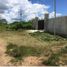  Land for sale in Ixil, Yucatan, Ixil, Yucatan
