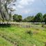  Land for sale in Antioquia Museum, Medellin, Medellin