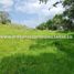  Land for sale in Antioquia Museum, Medellin, Medellin