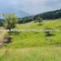  Land for sale in Antioquia Museum, Medellin, Medellin