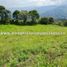  Land for sale in Antioquia Museum, Medellin, Medellin