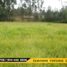  Land for sale in Canar, Solano, Deleg, Canar