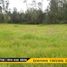  Land for sale in Solano, Deleg, Solano