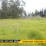  Land for sale in Canar, Solano, Deleg, Canar