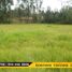  Land for sale in Solano, Deleg, Solano