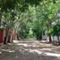  Land for sale in San Fernando, Chiapas, San Fernando